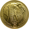 Soouth African Gold Elephant, obv Button Left