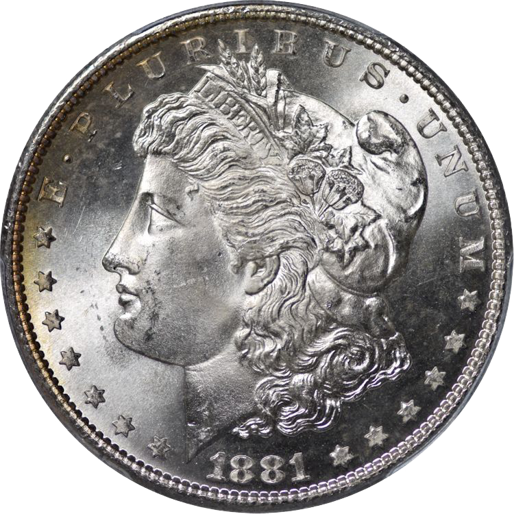 US Morgan Silver Dollars