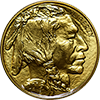 Backdate 1 oz US Gold Buffalo, BU, Obverse