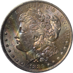 $1 Morgan Dollars 1883-O MS-63 obverse