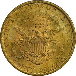 $20 Liberty Type 3 1899 MS-64 reverse